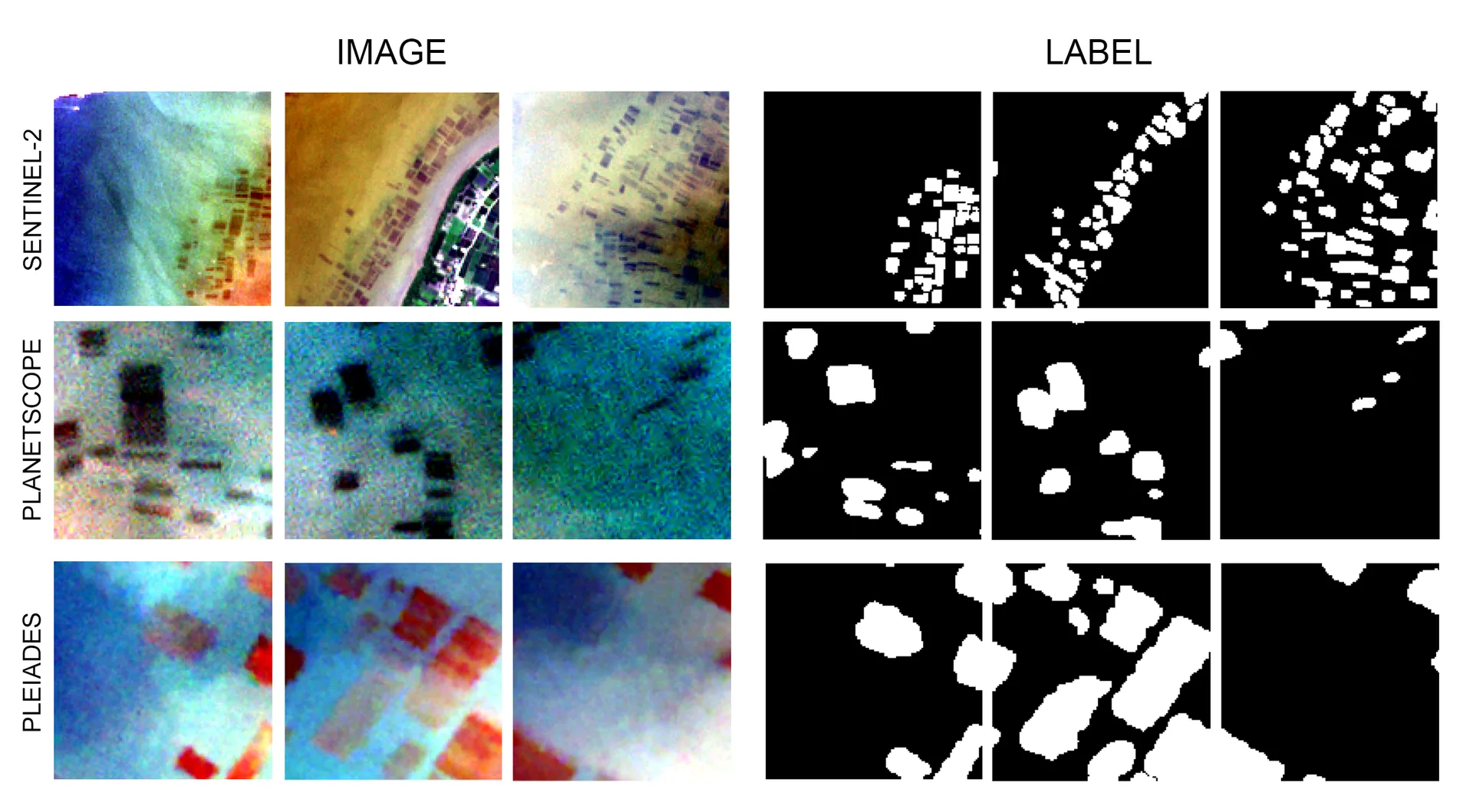 Seaweed Cover Mapping